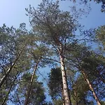 W Lesie - Beskid Niski Nyaraló *