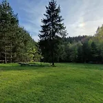 Σπίτι διακοπών W Lesie - Beskid Niski Smerekowiec