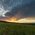 W Lesie - Beskid Niski