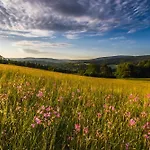 Σπίτι διακοπών W Lesie - Beskid Niski Smerekowiec