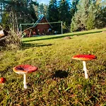 W Lesie - Beskid Niski * Smerekowiec