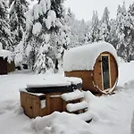 W Lesie - Beskid Niski Smerekowiec
