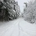 W Lesie - Beskid Niski * Smerekowiec