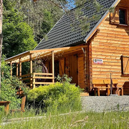 W Lesie - Beskid Niski *