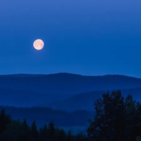 W Lesie - Beskid Niski Ferienhaus *