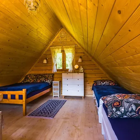 W Lesie - Beskid Niski *