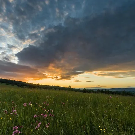 W Lesie - Beskid Niski