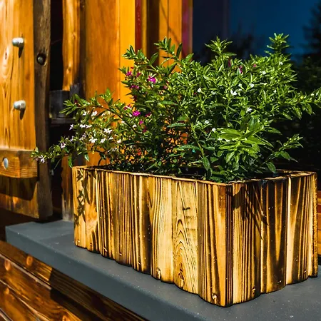 W Lesie - Beskid Niski Ferienhaus Smerekowiec