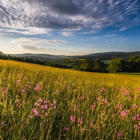 Дом отдыха W Lesie - Beskid Niski Smerekowiec