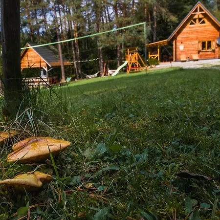 W Lesie - Beskid Niski Smerekowiec