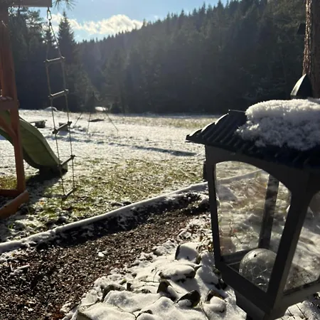 W Lesie - Beskid Niski Smerekowiec